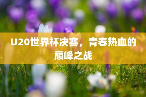 U20世界杯决赛，青春热血的巅峰之战丹东日丰电子有限公司