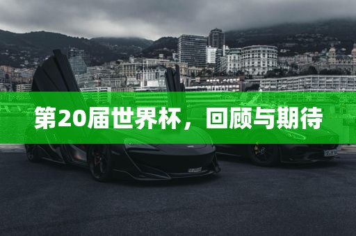 第20届世界杯，回顾与期待
