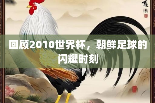 回顾2010世界杯，朝鲜足球的闪丹东日丰电子有限公司耀时刻