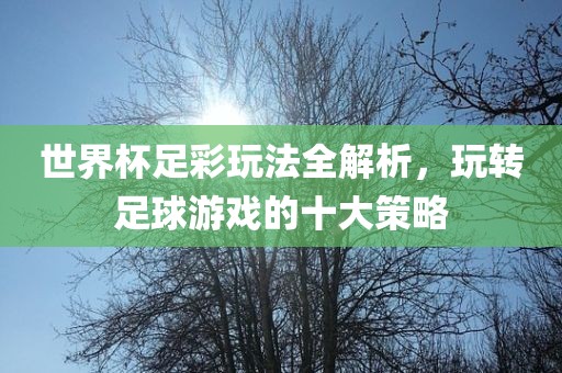 世界杯足彩玩法全解析，玩转足球游戏的十大策略丹东日丰电子有限公司