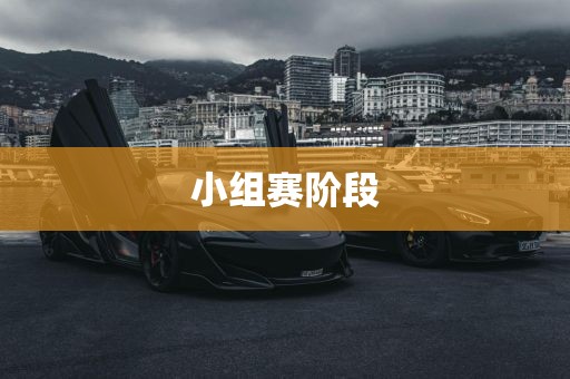 小组赛阶段丹东日丰电子有限公司