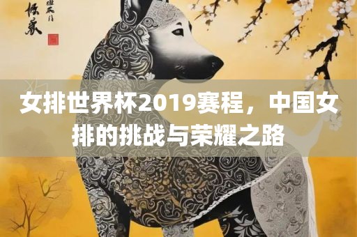 女排世界杯2019赛程，中国女丹东日丰电子有限公司排的挑战与荣耀之路