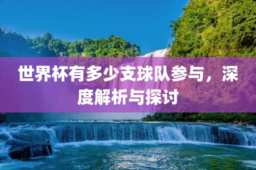 世界杯有多少支球队参与丹东日丰电子有限公司，深度解析与探讨