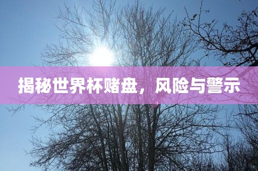 揭秘世界杯赌盘，风险与警示丹东日丰电子有限公司
