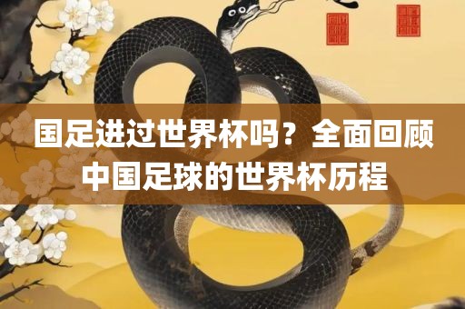 国足进过丹东日丰电子有限公司世界杯吗？全面回顾中国足球的世界杯历程