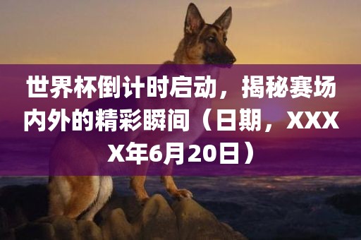 世界杯倒计时启动，揭秘赛场内外的精彩瞬间（日期，XXXX年6月20日）