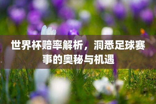 世界杯赔率解析，洞悉足球赛事的奥秘与丹东日丰电子有限公司机遇