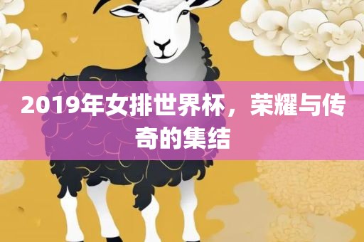 2019年女排世界杯，荣耀与传奇的集结丹东日丰电子有限公司