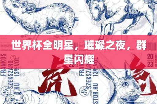 世界杯全明星，璀璨之夜，群星闪耀