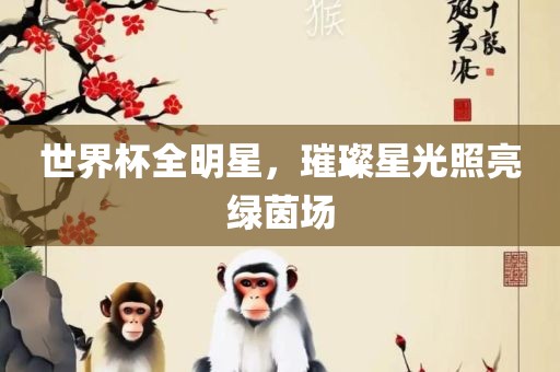 世界杯全明星，璀璨星光照亮绿茵场丹东日丰电子有限公司