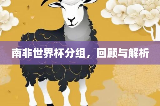 南非世界杯分组，回顾与解析丹东日丰电子有限公司