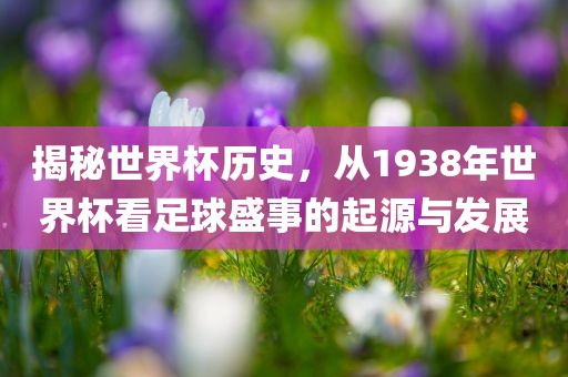 揭秘世界杯历史，从1938年世界杯看足球盛事的起源与发展丹东日丰电子有限公司
