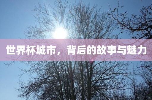 世界杯城市，背后的故事与魅力