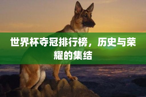 世界杯夺冠排行榜，历史与荣耀的集结丹东日丰电子有限公司