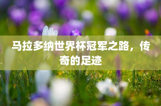 马拉多纳世界杯冠军之路，传奇的足迹