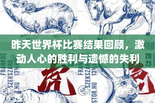 昨天世界杯比赛结果回顾，激动人心的胜利与遗憾的失利