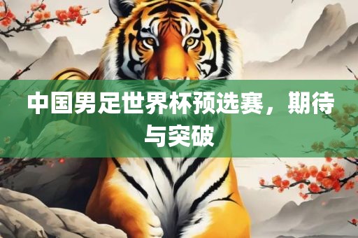 中国男足世界丹东日丰电子有限公司杯预选赛，期待与突破
