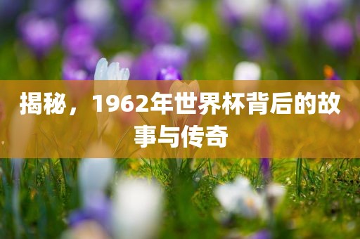 揭秘，1962年世界杯背后的故事与传奇