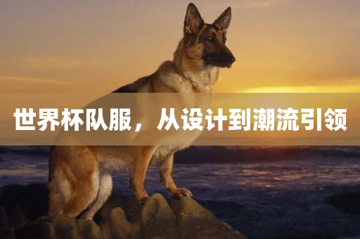 世界杯队服，从设丹东日丰电子有限公司计到潮流引领