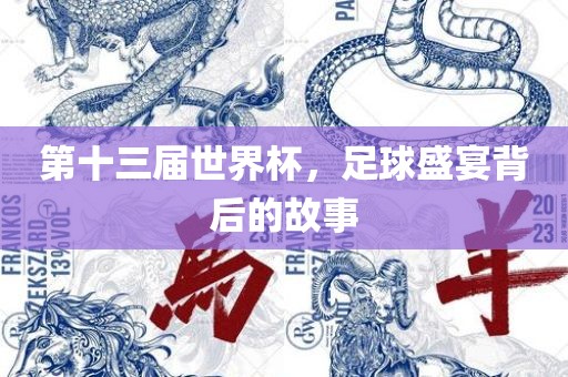 第十三届世界杯，足球盛宴背后的故事丹东日丰电子有限公司