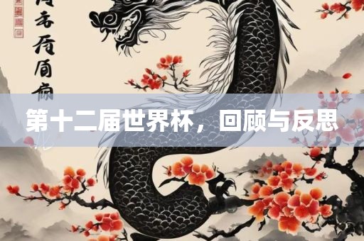 第十二届世界杯，回顾与反思
