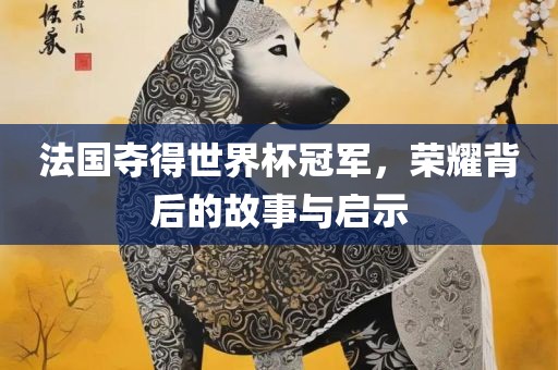 法国夺得世界杯冠军，荣耀背后的故事与启示