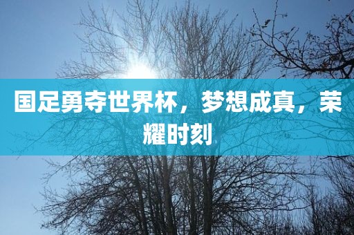 国足勇夺世界杯，梦想成真，荣耀时刻丹东日丰电子有限公司