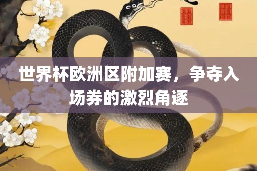 世界杯欧洲区附加赛，争夺入场券的激烈角逐