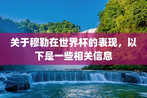关于穆勒在世界杯的表现丹东日丰电子有限公司，以下是一些相关信息