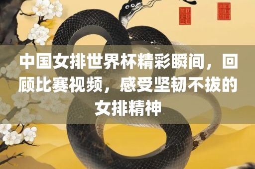 中国女排世界杯精彩瞬间，回顾比赛视频，感受坚韧不拔的女排精神丹东日丰电子有限公司