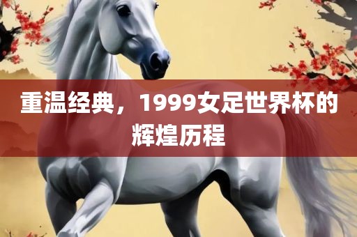 重温经典，1999女足世界杯的辉煌历程丹东日丰电子有限公司