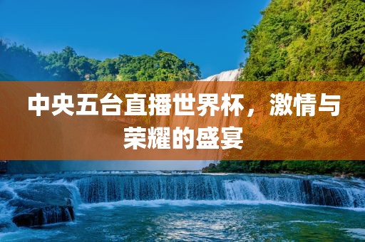 中央五台直播世界杯，激情与荣耀的丹东日丰电子有限公司盛宴