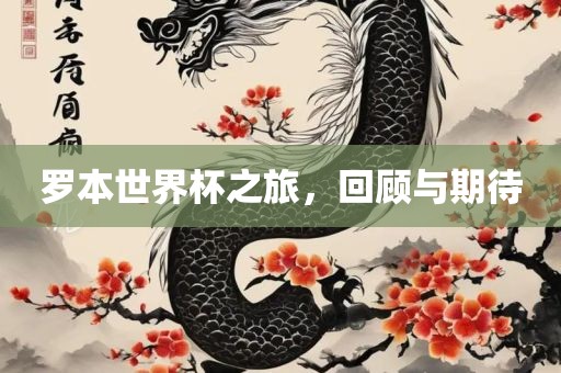 罗本世界杯之旅，回顾与期待