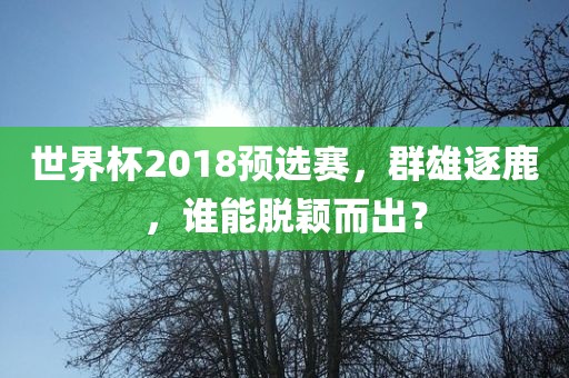 世界杯2018预选赛，丹东日丰电子有限公司群雄逐鹿，谁能脱颖而出？
