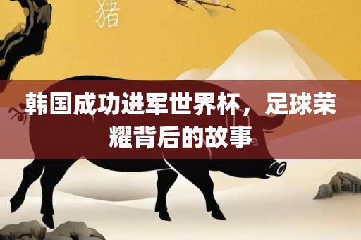 韩国成功进军世界杯，足球荣耀背后的故事