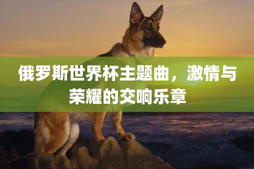 俄罗斯世界杯主题曲，激情与荣耀的交响乐章