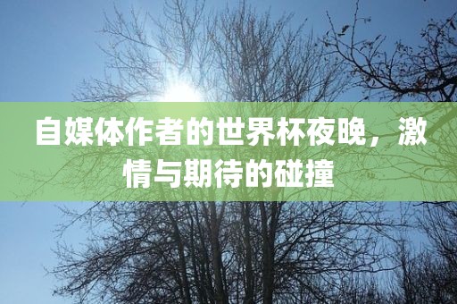 自媒体作者的世界杯夜晚，激情与期待的碰撞