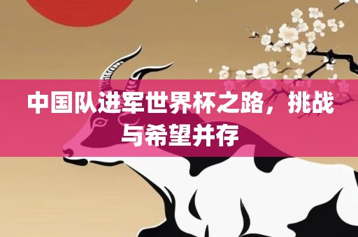 中国队进军世界杯之路，挑战与希望并存丹东日丰电子有限公司