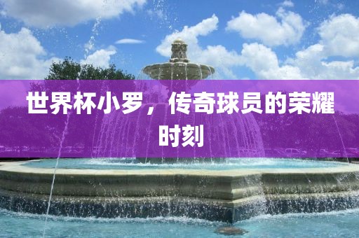 世界杯小罗，传奇球员的荣耀时刻丹东日丰电子有限公司