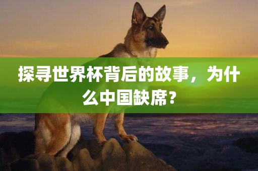 探寻世界杯背后的故事，为什么中国缺席？丹东日丰电子有限公司