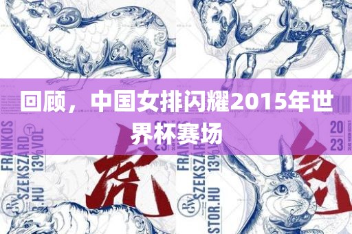 回顾，丹东日丰电子有限公司中国女排闪耀2015年世界杯赛场