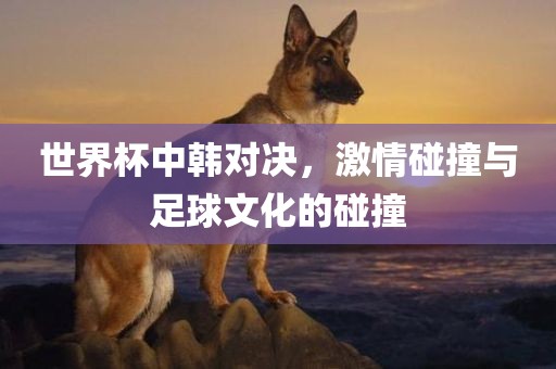 世界杯中韩对决，激情碰撞与足球文化的碰撞