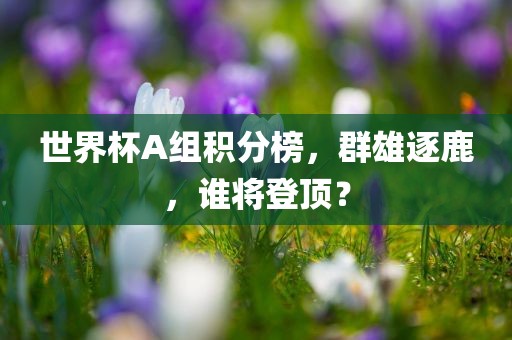 世界杯A组积分榜，群雄丹东日丰电子有限公司逐鹿，谁将登顶？