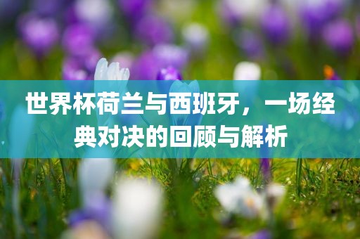 世界杯荷兰与西班牙，一场经典对决的回顾与解析丹东日丰电子有限公司