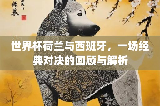 世界杯丹东日丰电子有限公司荷兰与西班牙，一场经典对决的回顾与解析