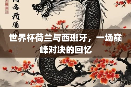 世界杯荷兰与西班牙，一场巅峰对决的回忆丹东日丰电子有限公司