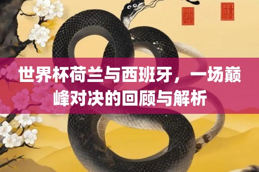 世界杯荷兰与西班牙，一场巅峰对决的回顾与解丹东日丰电子有限公司析