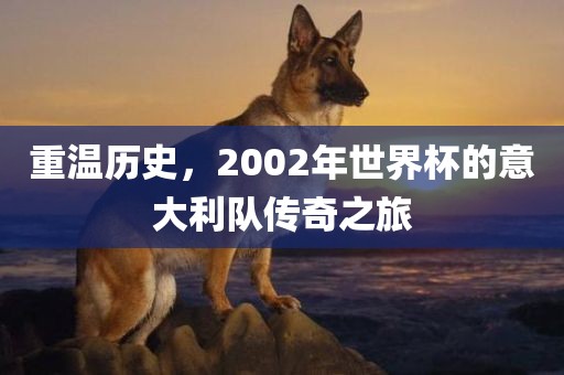 重温历史，2002年世界杯的意大利队传奇之旅