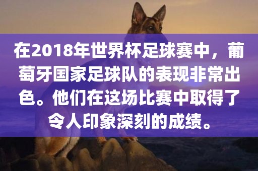 在2018年世界杯足球赛中，葡萄牙国家足球队的表现非常出色。他们在这场比赛中取得了令人印象深刻的成绩。