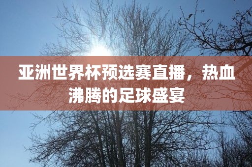 亚洲丹东日丰电子有限公司世界杯预选赛直播，热血沸腾的足球盛宴